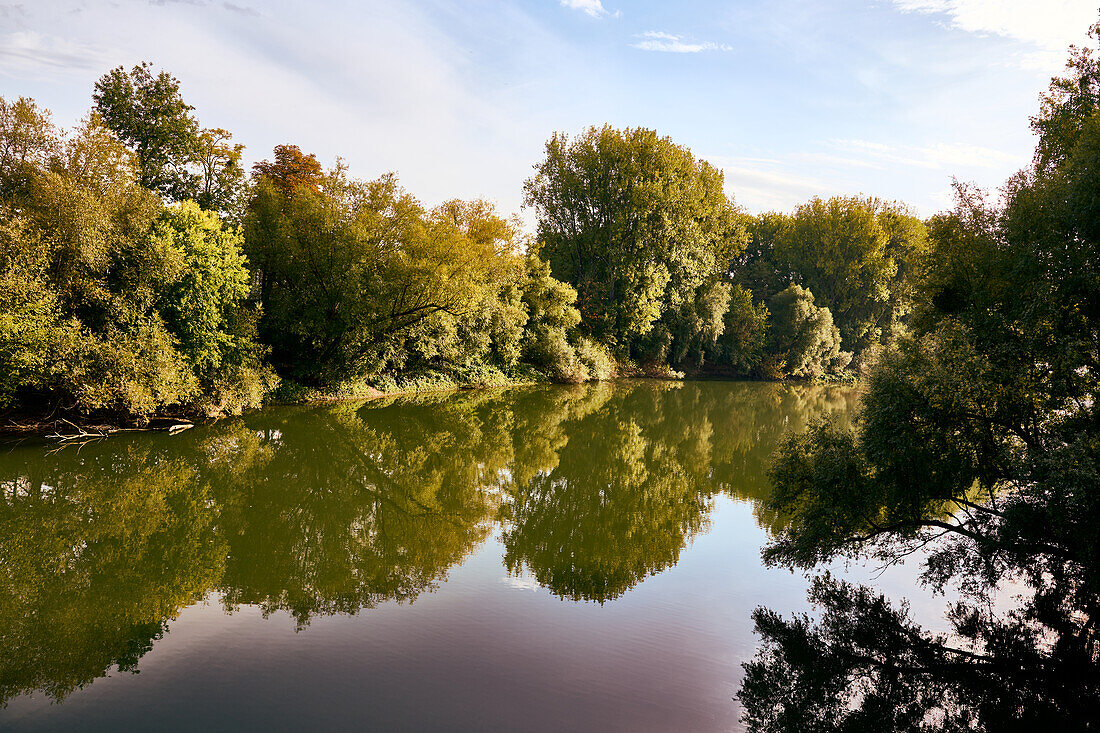 Trees are reflected in the Hersonne in the &quot;dead&quot; arm of the Rhine, Bad Honnef, North Rhine-Westphalia, Germany