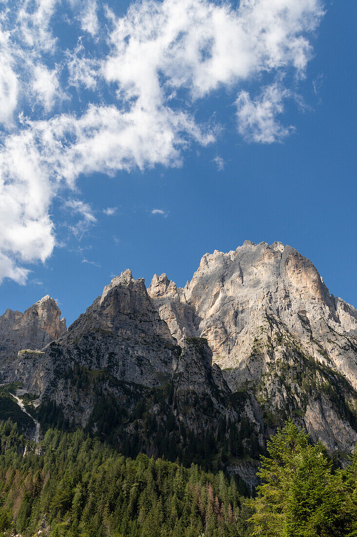 Val Canali, a suggestive valley in the Trentino Dolomites that extends south of the imposing Pale di San Martino. Trento district, Italy.