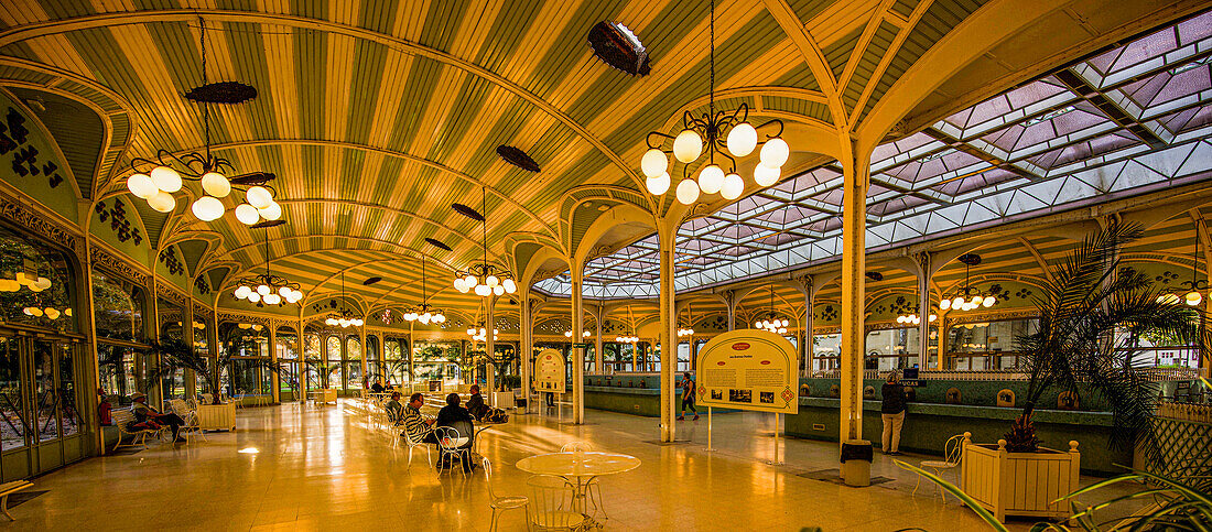 View of the Hall des Sources in the spa district of Vichy, Auvergne-Rhône-Alpes, France