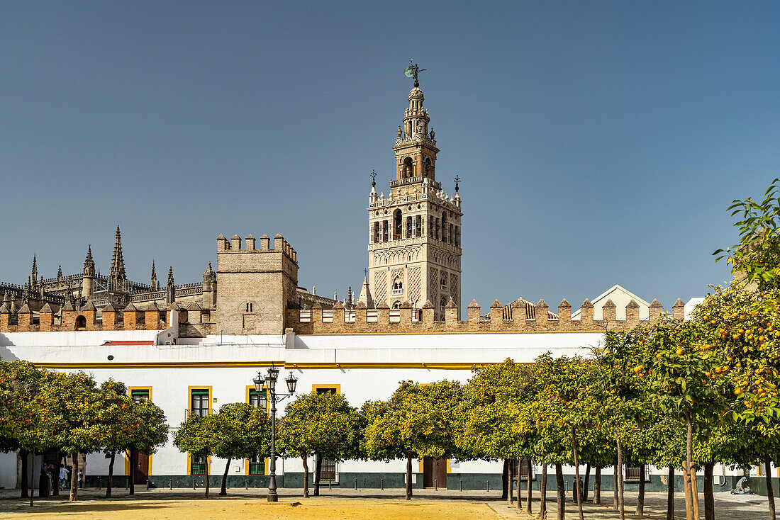 Patio de Banderas Square and Cathedral of Santa María de la Sede in Seville, Andalusia, Spain