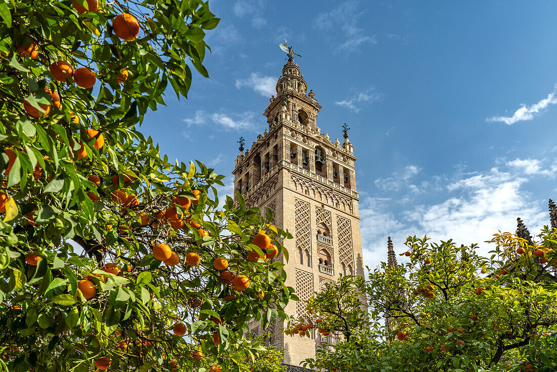 Glockenturm Giralda und Orangenhof, Kathedrale Santa María de la Sede in Sevilla, Andalusien, Spanien  