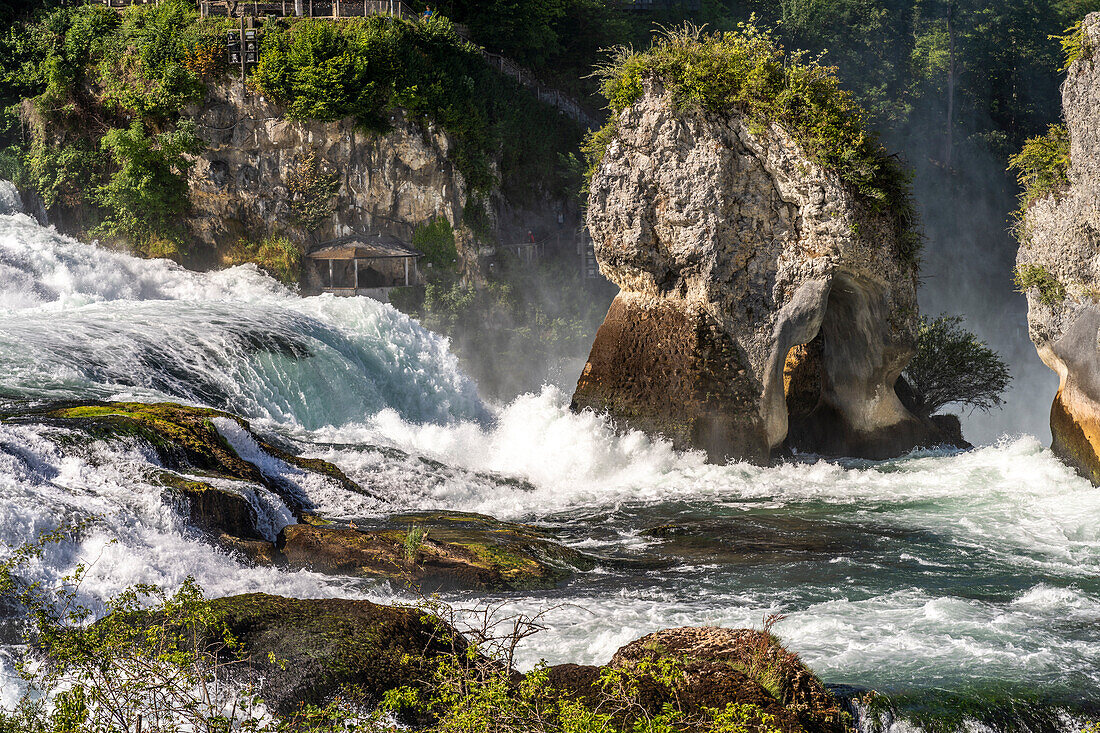 Rheinfall waterfall near Neuhausen am Rheinfall, Switzerland, Europe