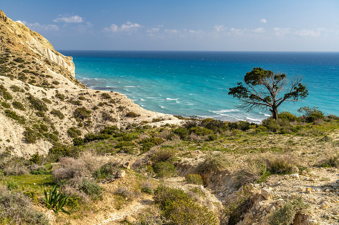 Wanderweg durch die Landschaft am Kap Aspro bei Pissouri, Zypern, Europa  