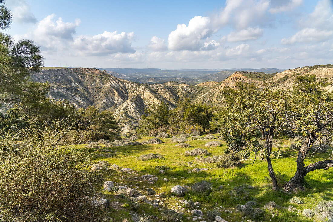 Landscape at Cape Aspro near Pissouri, Cyprus, Europe
