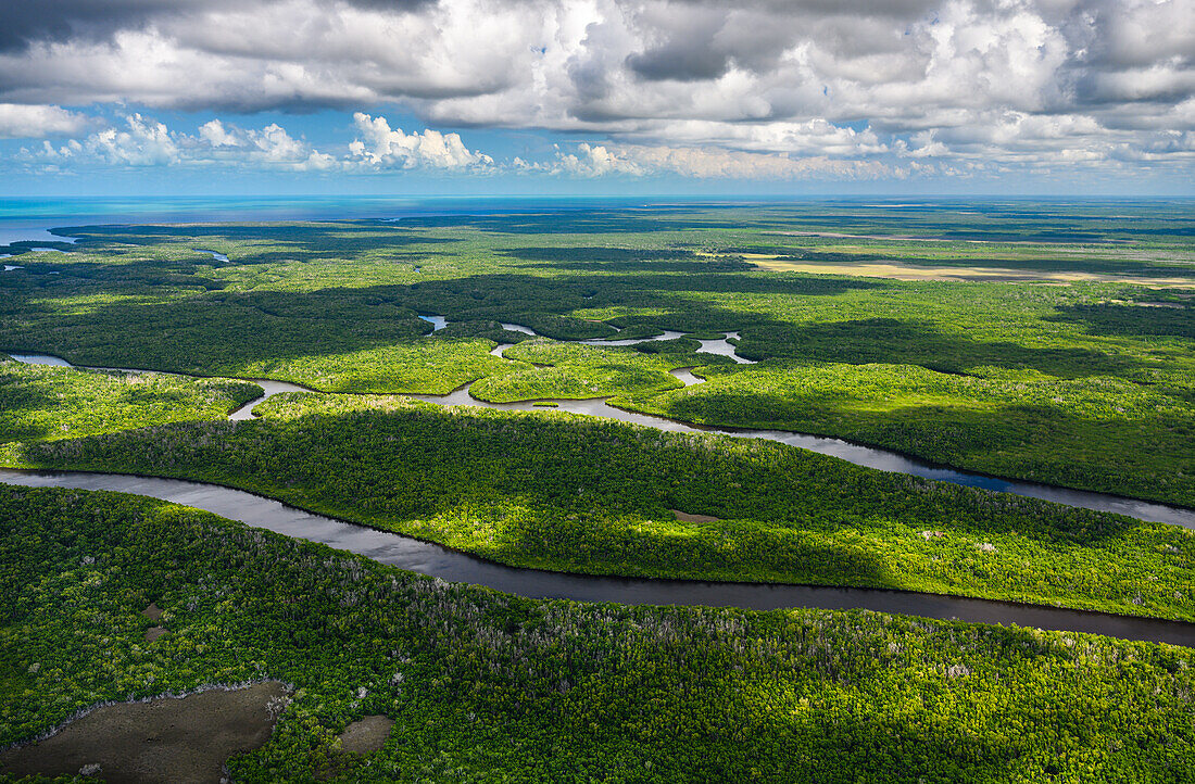 Aerial view of Everglades National Park in Florida, USA