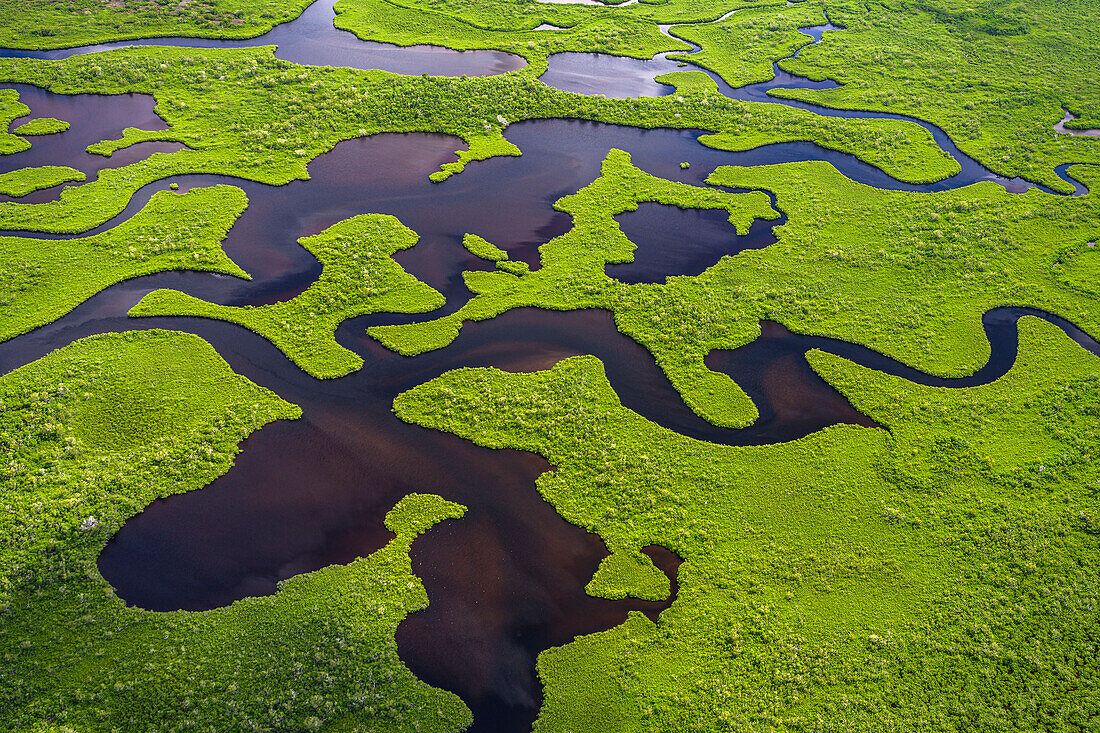 Luftaufnahme des Everglades National Park in Florida, USA