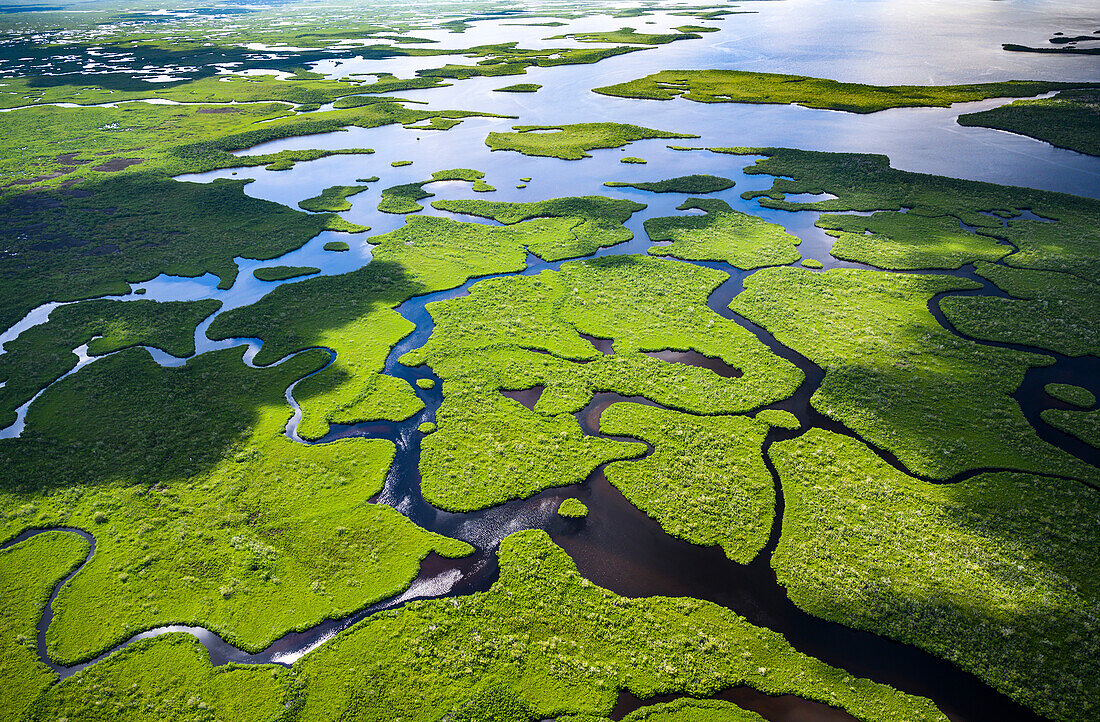 Aerial view of Everglades National Park in Florida, USA