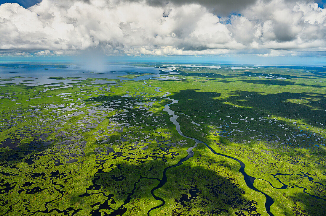 Luftaufnahme des Everglades National Park in Florida, USA