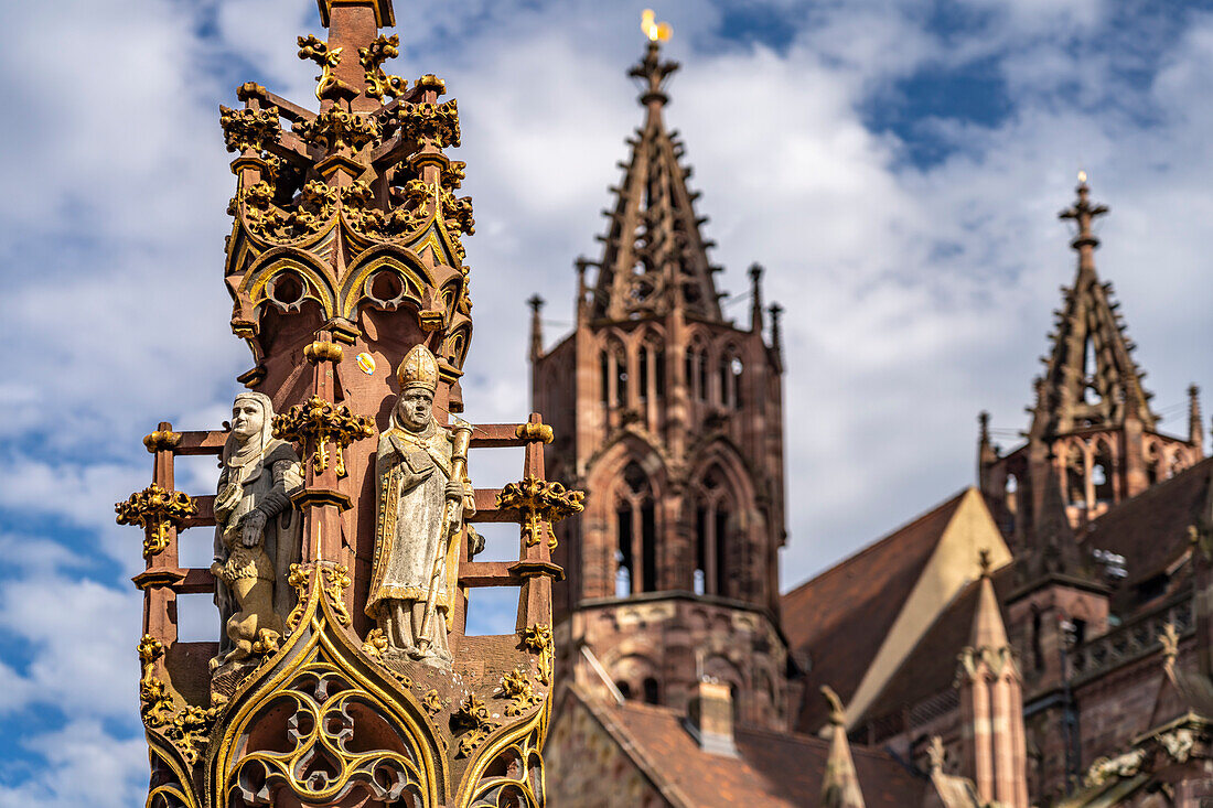 Fish fountain detail and the Freiburg Minster on Munsterplatz, Freiburg im Breisgau, Black Forest, Baden-Württemberg, Germany