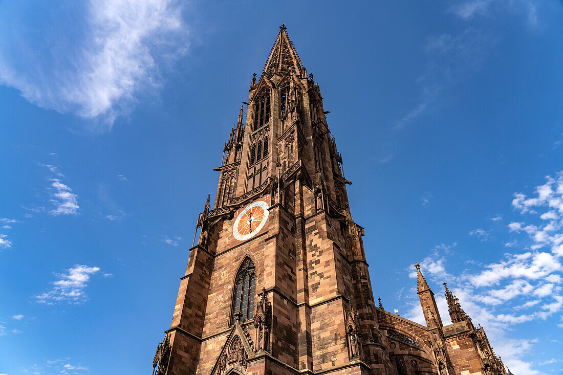 Das Freiburger Münster, Freiburg im Breisgau, Schwarzwald, Baden-Württemberg, Deutschland