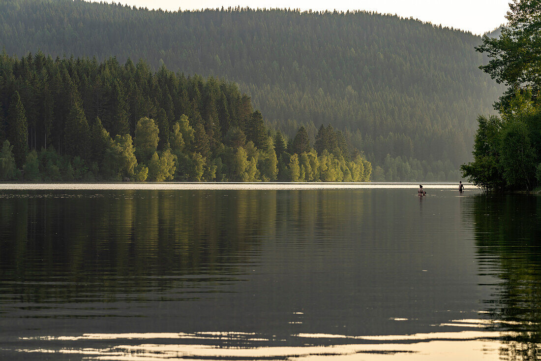 Schluchsee reservoir, Black Forest, Baden-Württemberg, Germany