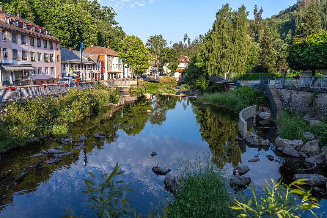 Am Fluss Alb in St. Blasien, Schwarzwald, Baden-Württemberg, Deutschland