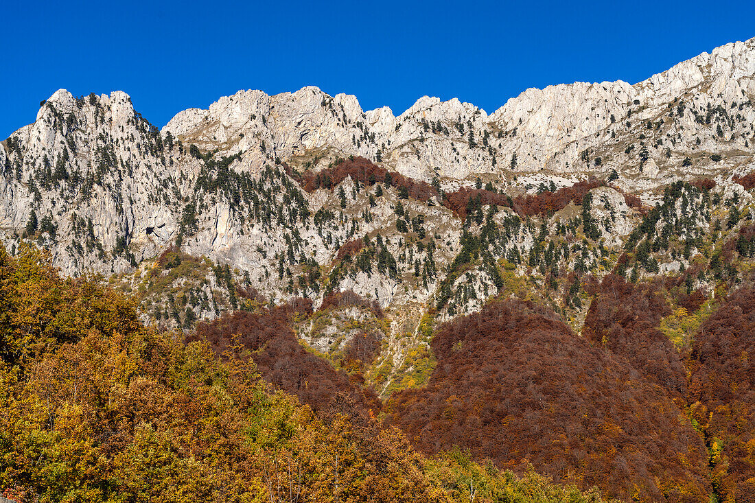 Autumn mountain landscape at Durmitor National Park, Montenegro, Europe