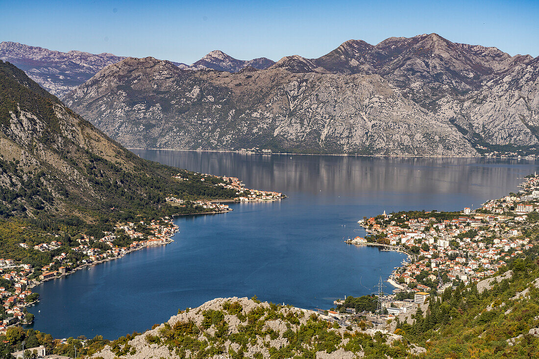 Blick auf Kotor, Dobrota und die Bucht von Kotor, Montenegro, Europa 