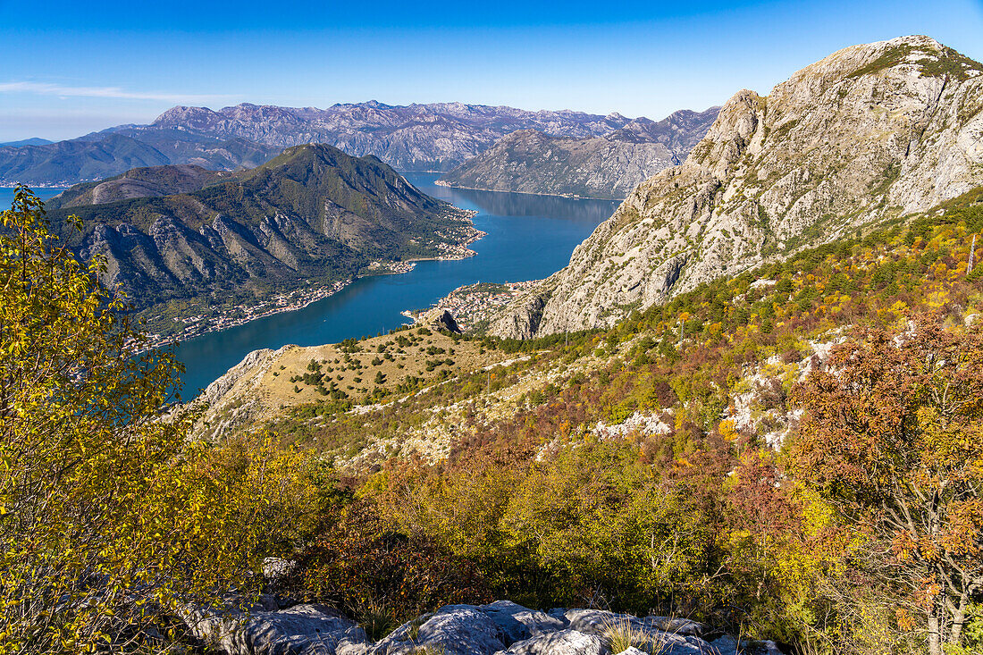 View over the Bay of Kotor, Montenegro, Europe