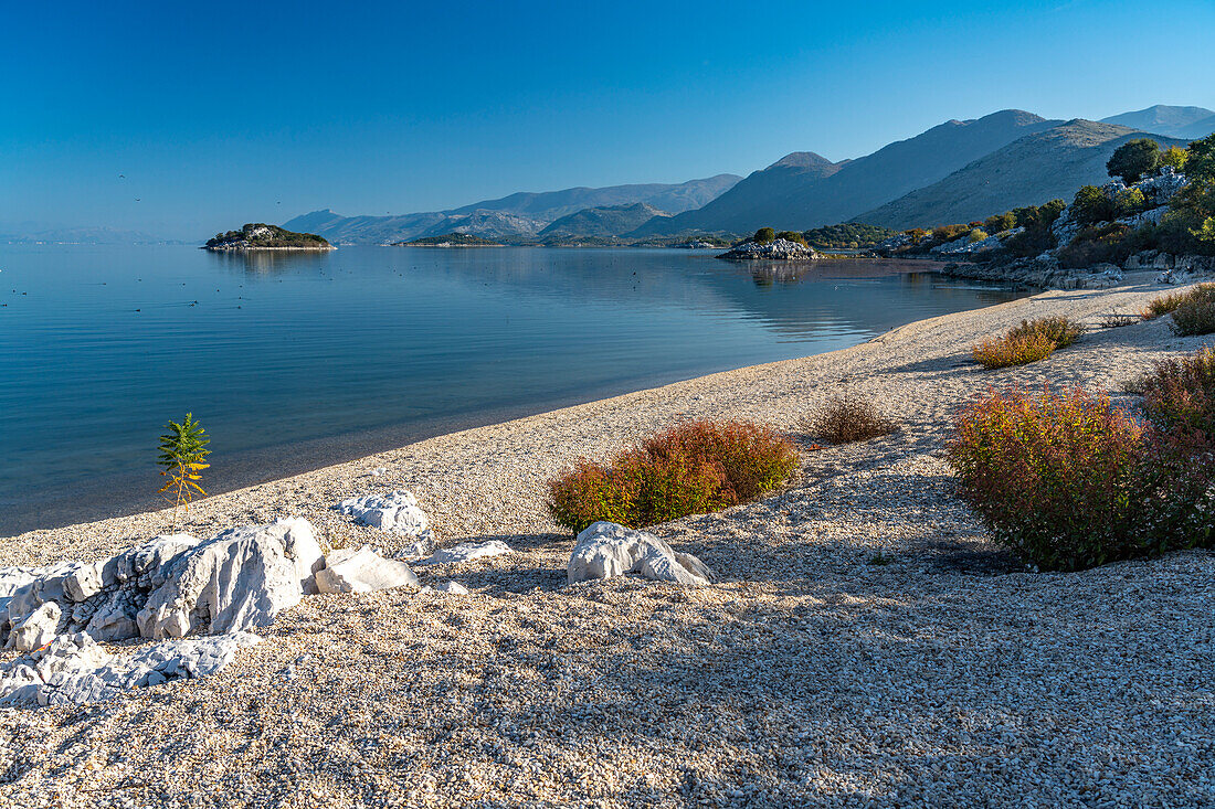 Skutarisee Strand beim Dorf Donji Murici, Montenegro, Europa