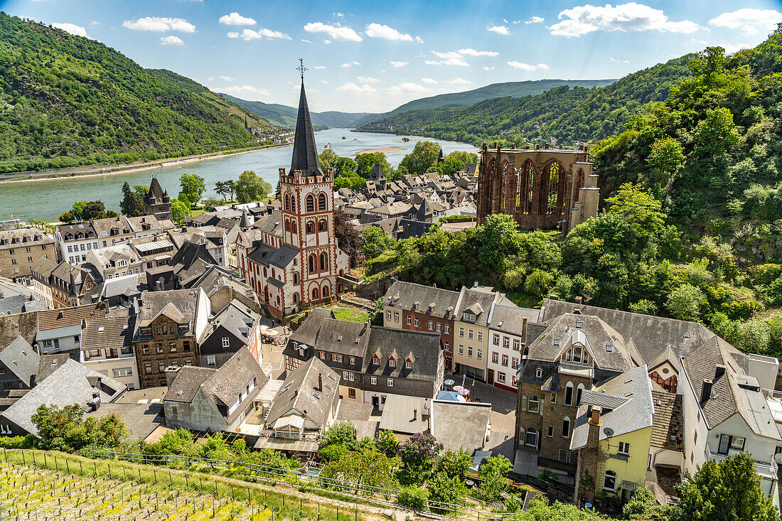 Bacharach with the Evangelical Church of St. Peter, the ruins of the Gothic Werner Chapel and the Rhine seen from above, World Heritage Upper Middle Rhine Valley, Rhineland-Palatinate, Germany