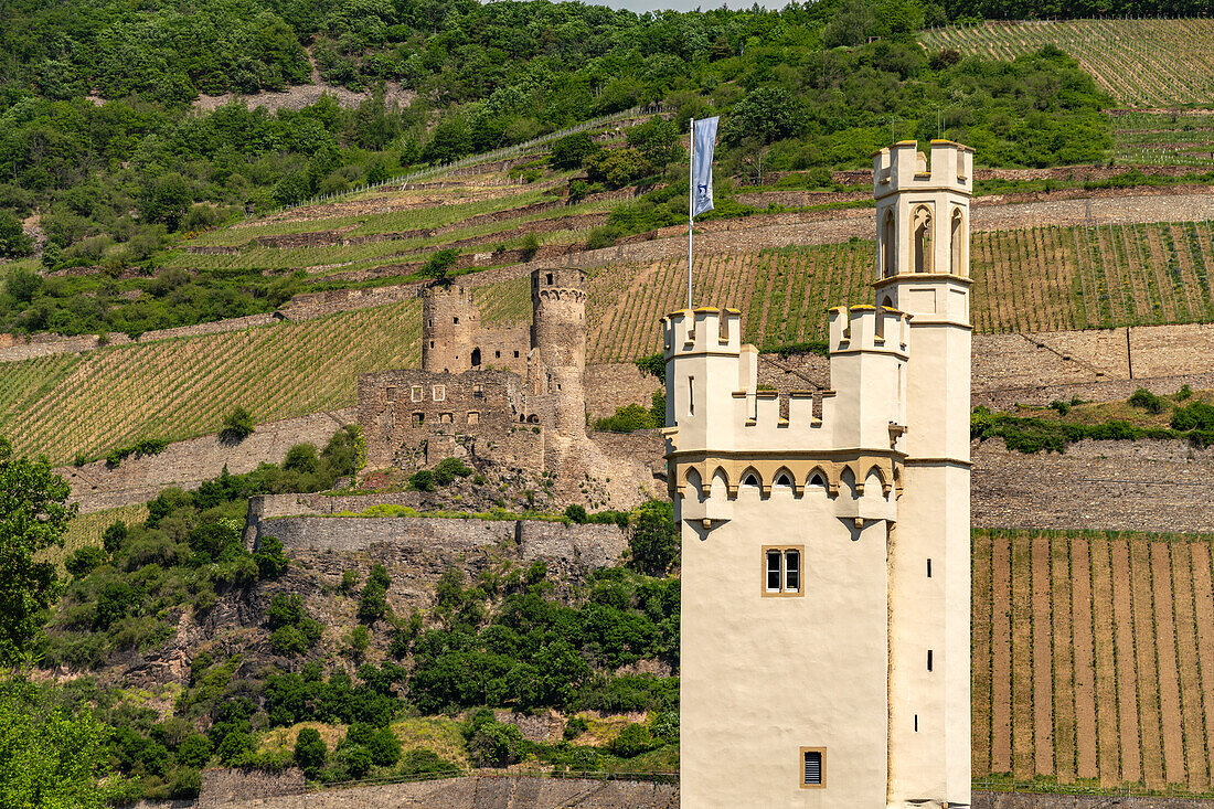 The Mouse Tower of Bingen am Rhein, Rhineland-Palatinate, and Ehrenfels Castle in Rüdesheim, Hesse, World Heritage Upper Middle Rhine Valley, Germany