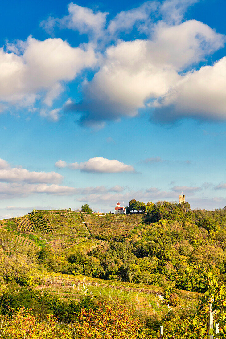The hills and vineyards around Gattinara on an autumn afternoon. Gattinara, Vercelli district, Piedmont, Italy
