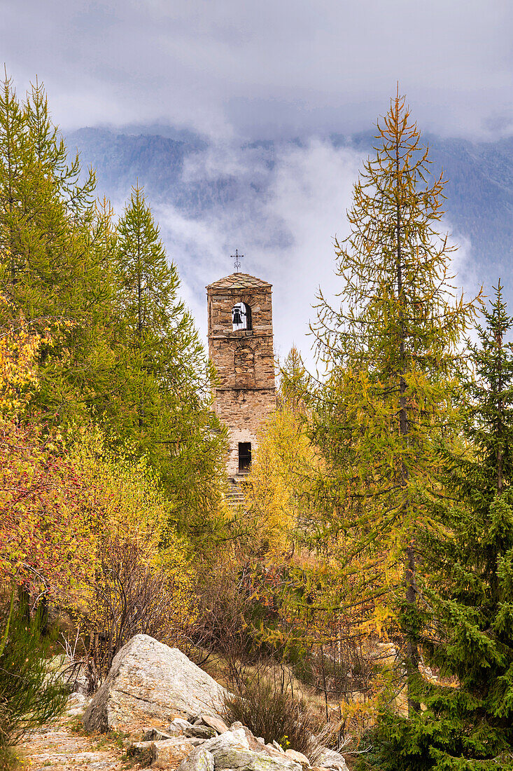 The bell tower of a church stands out among the trees. Lys Valley, Aosta Valley, Italy