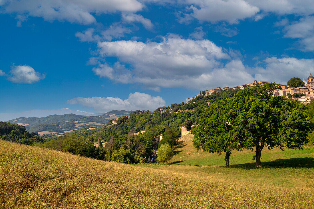 Blick auf das historische Zentrum von Urbino. Urbino, Marken, Italien