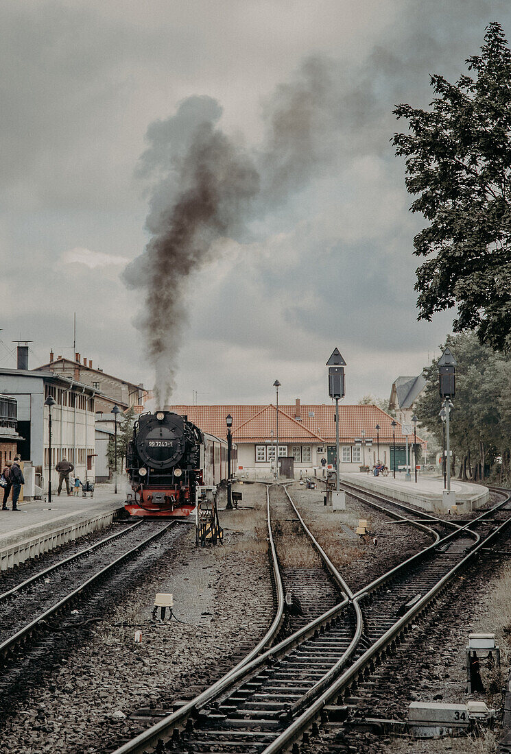 Historische Schmalspurbahn am Bahnhof von Wernigerode, Harz, Sachsen-Anhalt, Deutschland