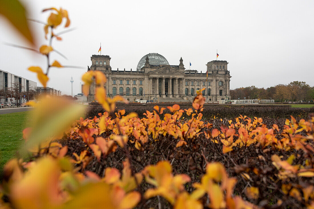 Deutscher Bundestag, Reichstag, bunte Herbstblätter, Berlin, Deutschland