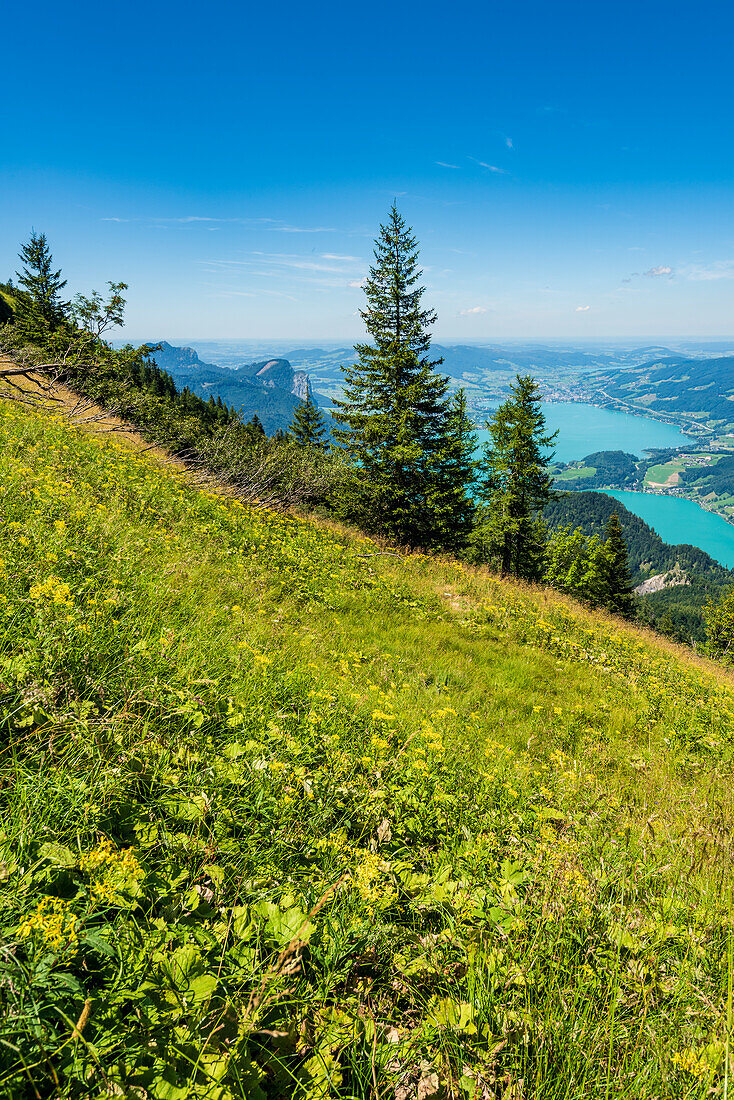 View from the Schafberg on the Mondsee, Salzkammergut, Upper Austria, Austria