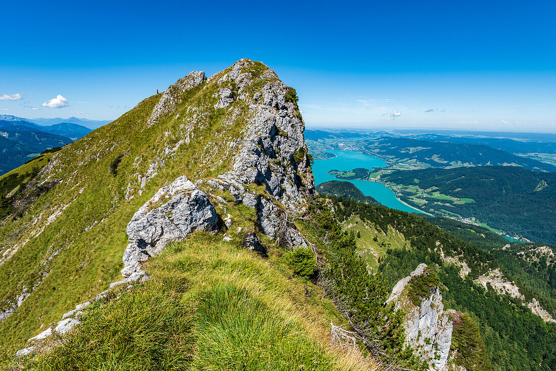 Spinner near the Schafberg with a view of the Mondsee, Salzkammergut, Austria