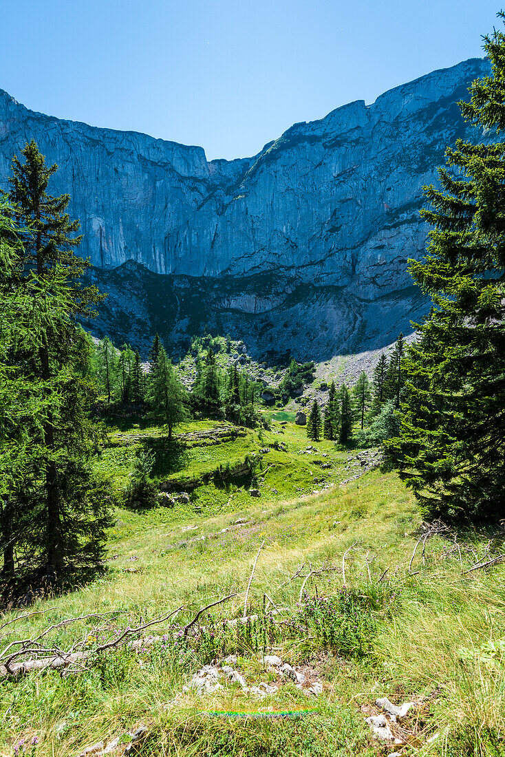 Suissensee am Schafberg, Salzkammergut, Austria