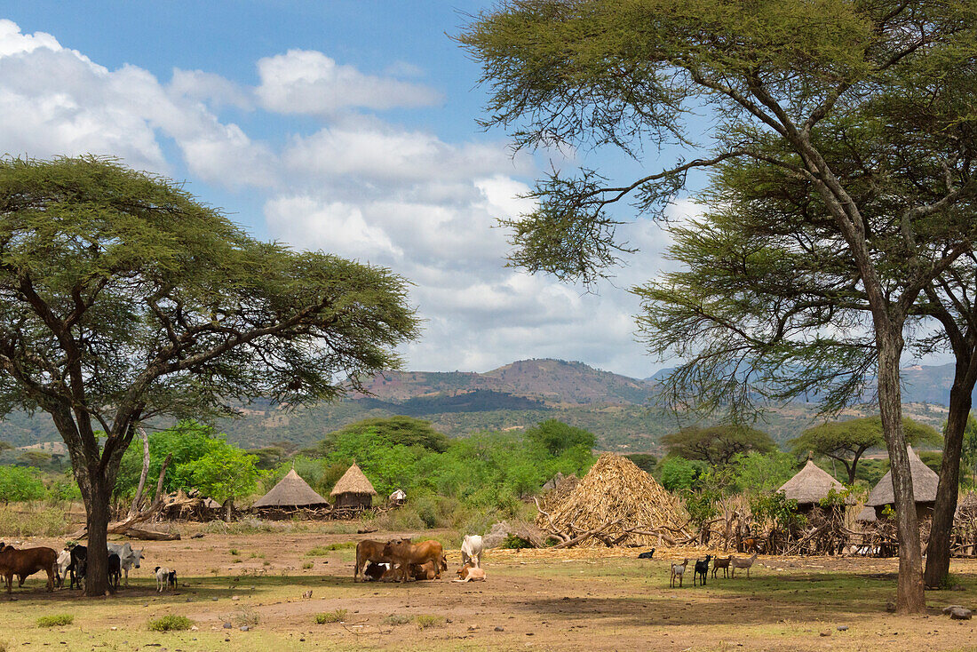 Traditional houses with thatched roof in the village, Konso, Ethiopia