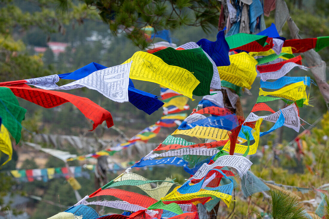 Bhutan, Thimphu. Bunte Gebetsfahnen auf dem Berggipfel der geodätischen Station Sangaygang.