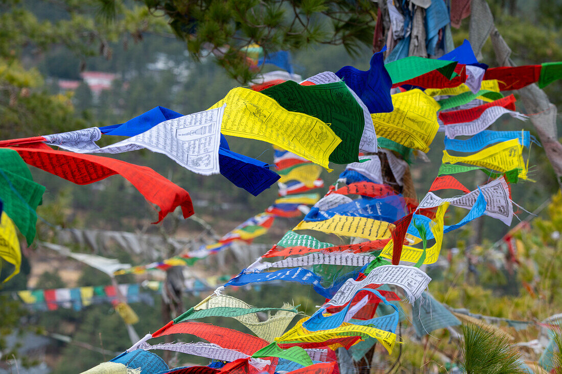 Bhutan, Thimphu. Colorful prayer flags on mountain top at the Sangaygang Geodetic Station.