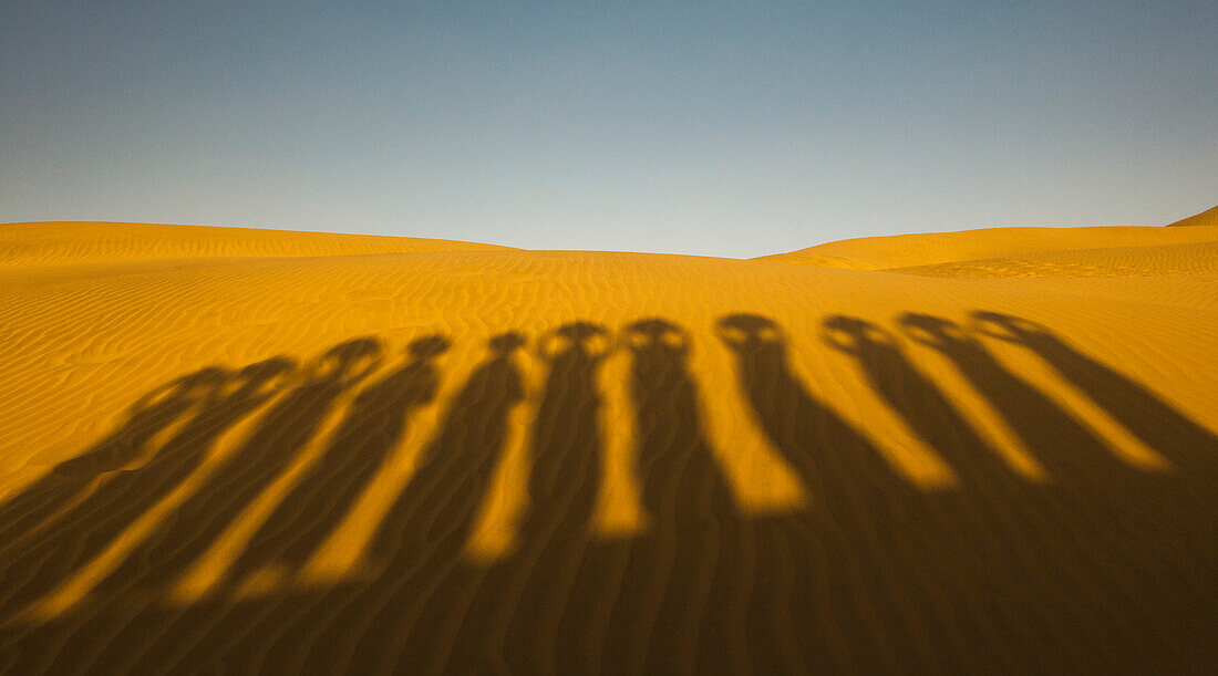 Schatten der Wasserträger, Thar-Wüste, Indien
