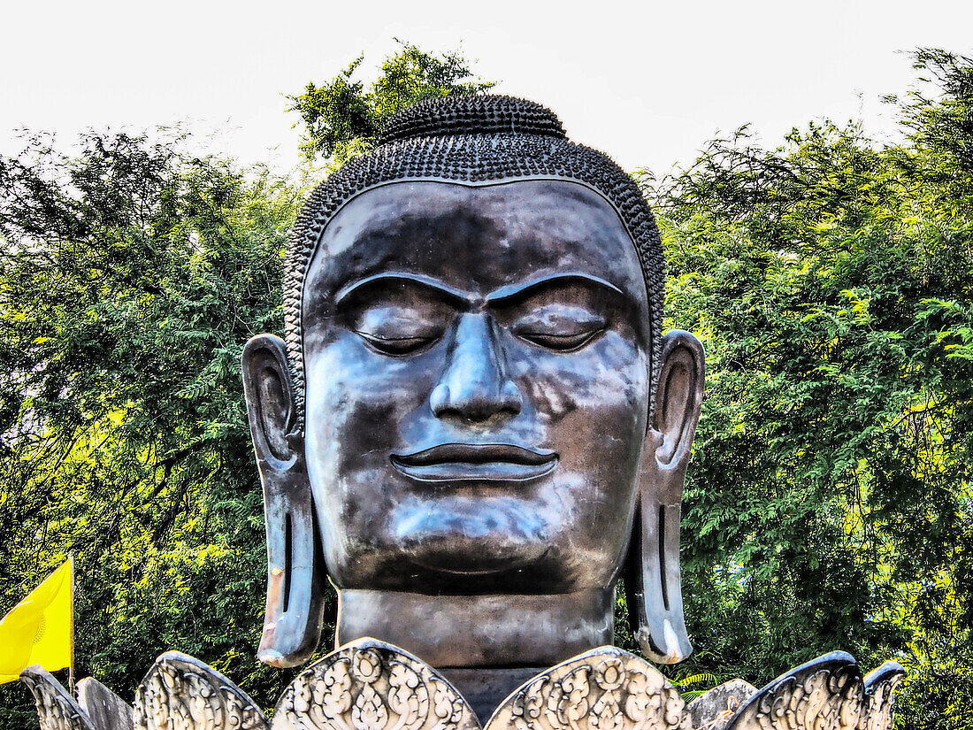 Südostasien, Ayutthaya, der riesige Kopf des schwarzen Buddha in den Lotusblüten im Wat Thammikarat