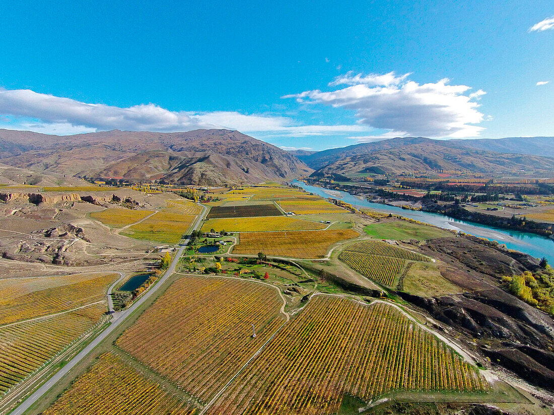 Vineyards, Felton Road, Bannockburn, and Kawarau Arm, Lake Dunstan, near Cromwell, Central Otago, South Island, New Zealand, drone aerial