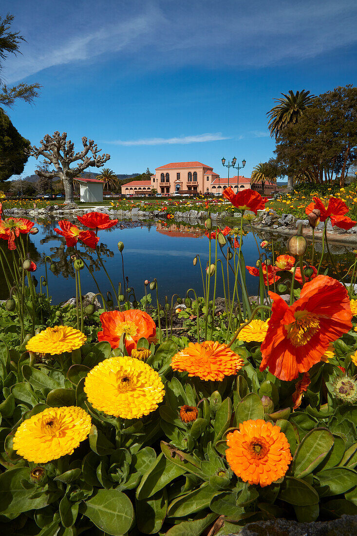 Blumen und blaue Bäder, Government Gardens, Rotorua, Nordinsel, Neuseeland
