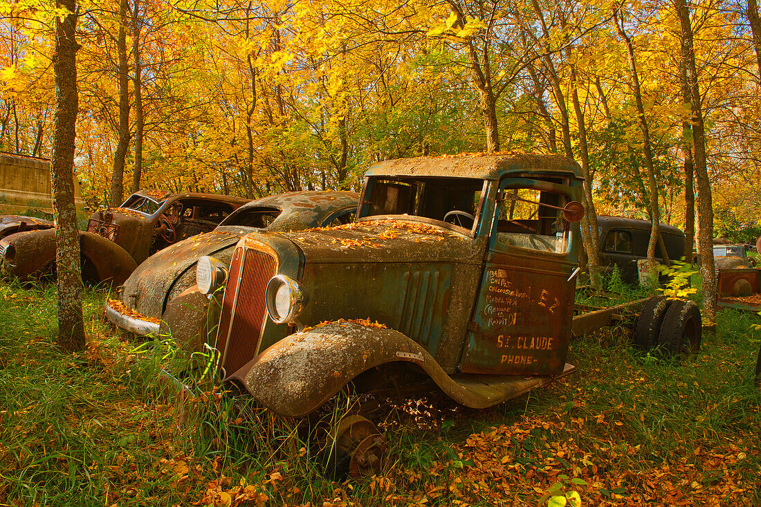 Canada, Manitoba, St. Lupicin. Vintage old vehicles in wrecking yard
