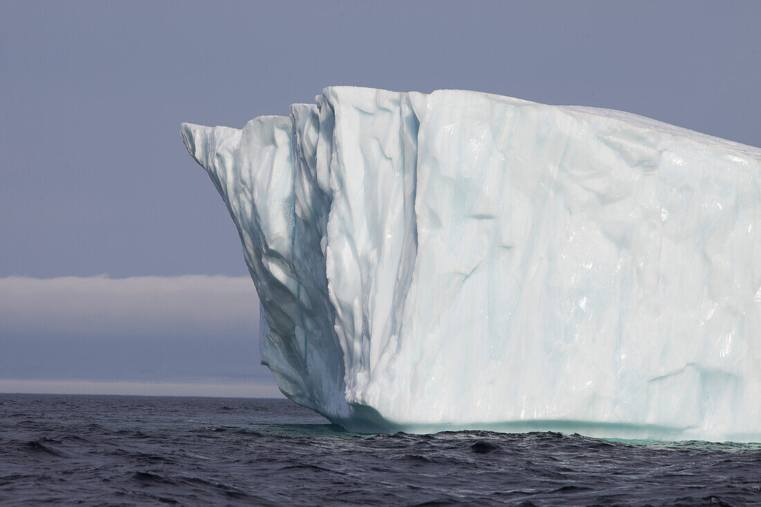 Icebergs, Kings Cove, Newfoundland, Canada