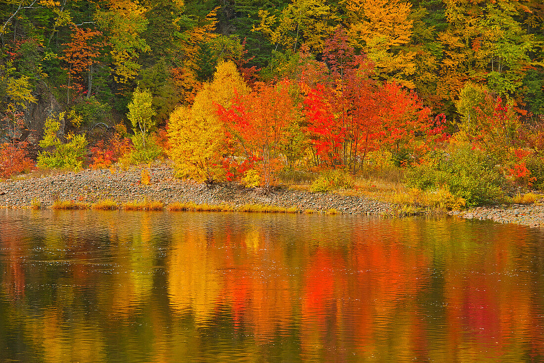 Canada, Nova Scotia. Indian Brook and forest in autumn