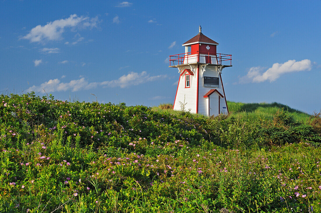 Kanada, Prince Edward Island, Covehead Harbour. Leuchtturm und Blumen.