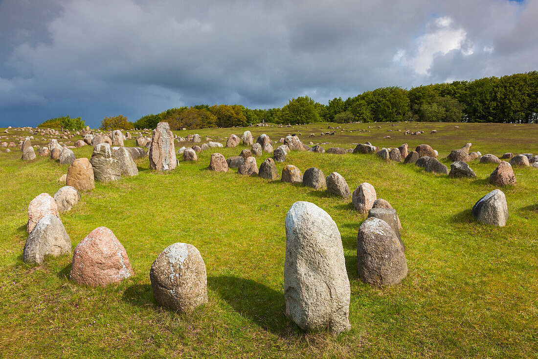 Dänemark, Jütland, Aalborg-Lindholm, Lindholm Hoje, Wikingerfriedhof