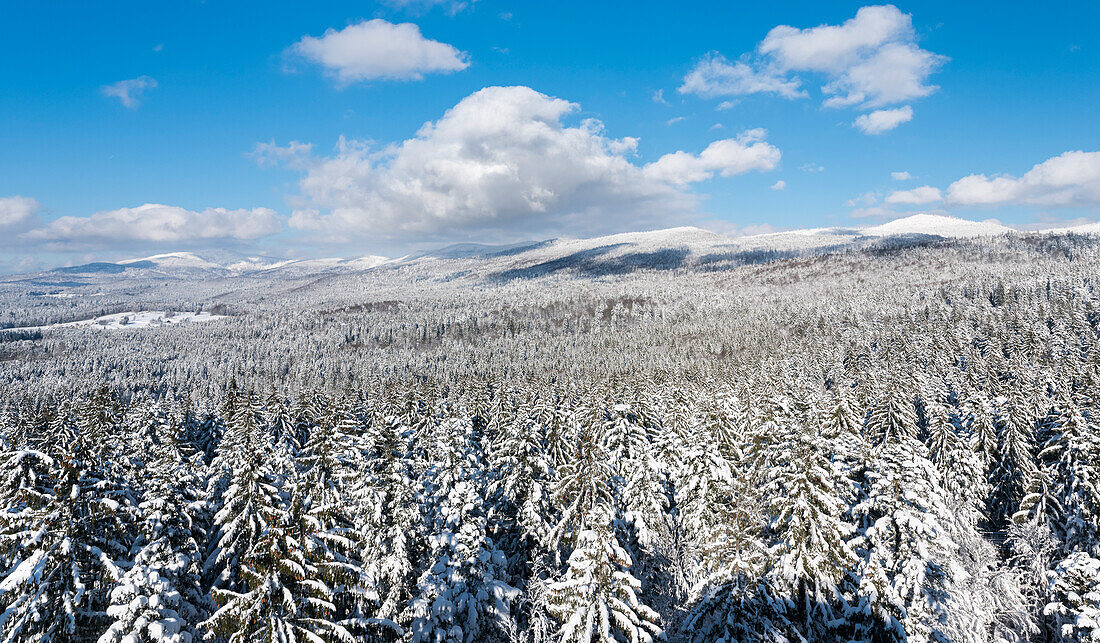 National Park Bavarian Forest (Bayerischer Wald) in the deep of winter. View towards mount Lusen, Mt. Rachel and Mt. Falkenstein. Bavaria, Germany ()