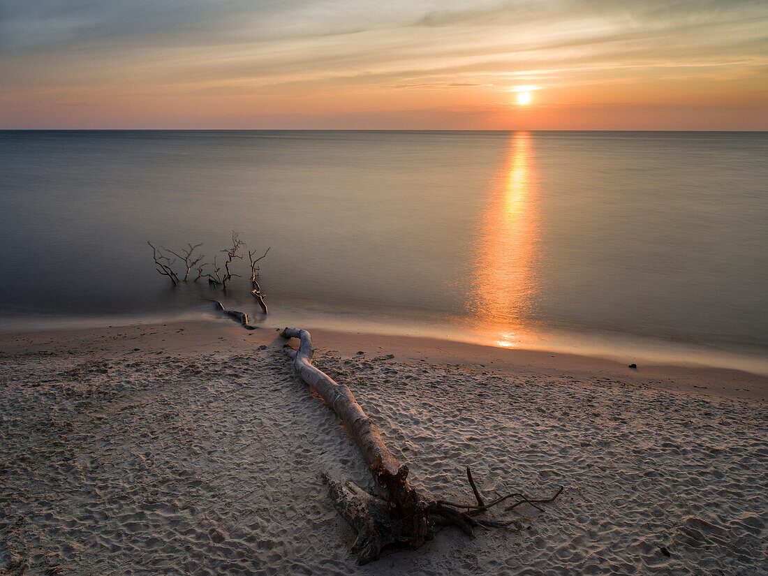 Der Weststrand auf der Halbinsel Darß. Der Strand und der Küstenwald werden von Stürmen erodiert. Vorpommersche Boddenlandschaft