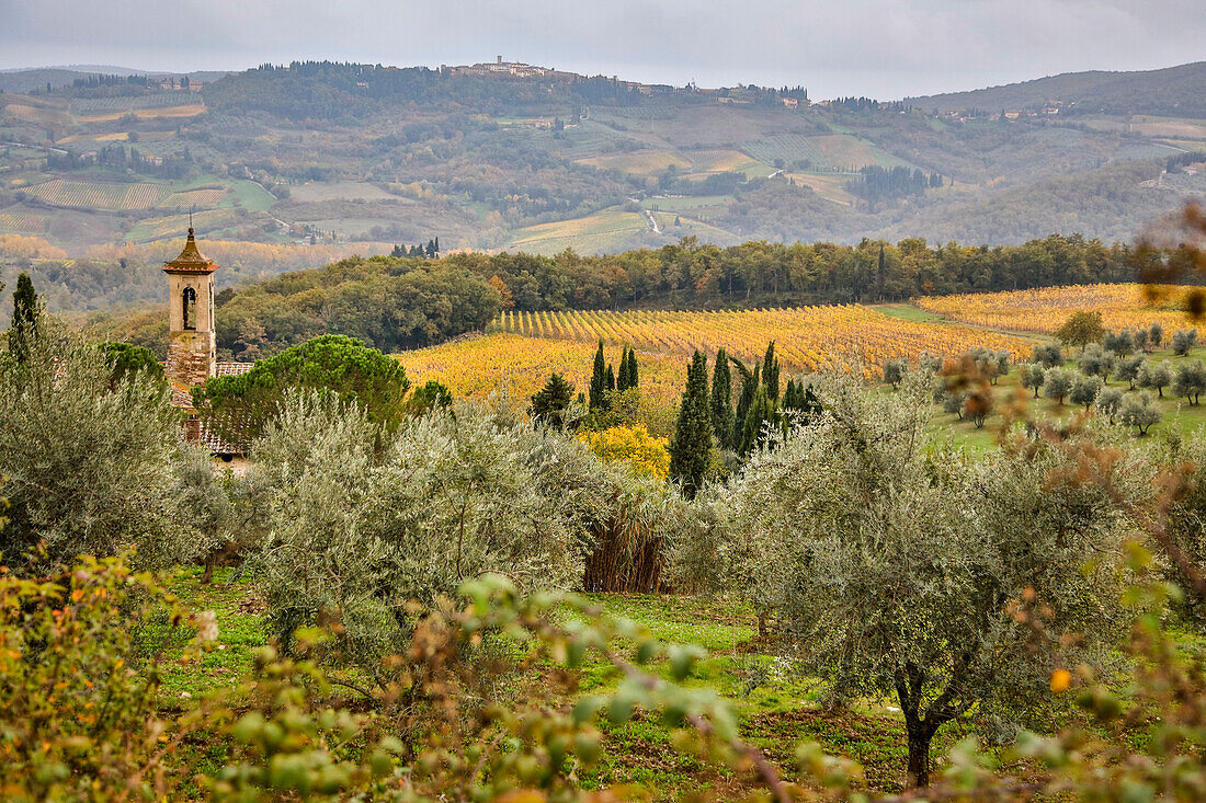 Italien, Toskana, San Gimignano, außerhalb von San Gimignano