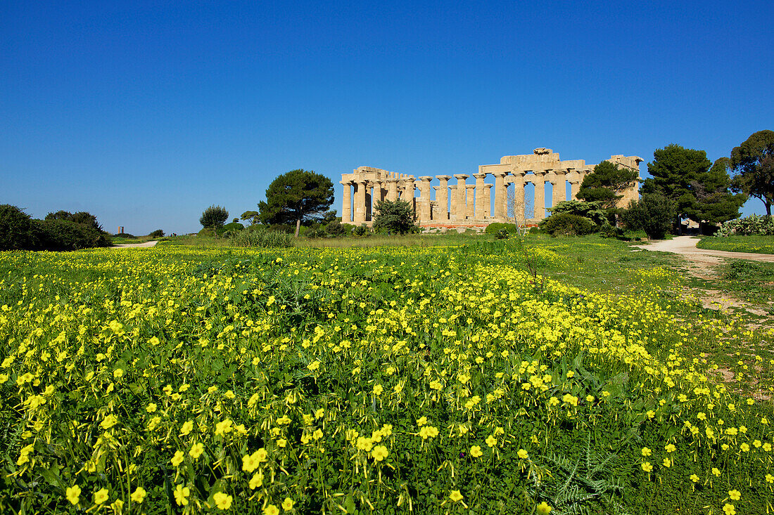 Italien, Sizilien, Altstadt von Selinunte, Ruinen des griechischen Tempels