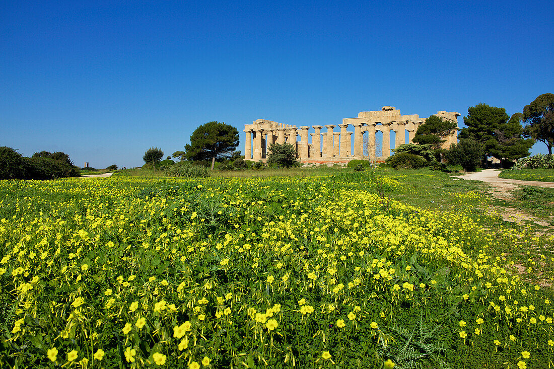Italy, Sicily, old city of Selinunte, ruins of the Greek temple