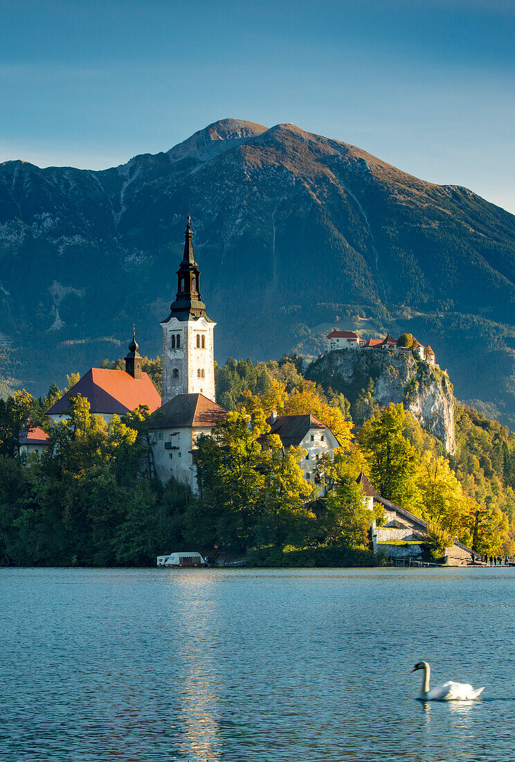 Morning sunlight over St. Mary's Church of the Assumption, Lake Bled, Upper Carniola, Slovenia