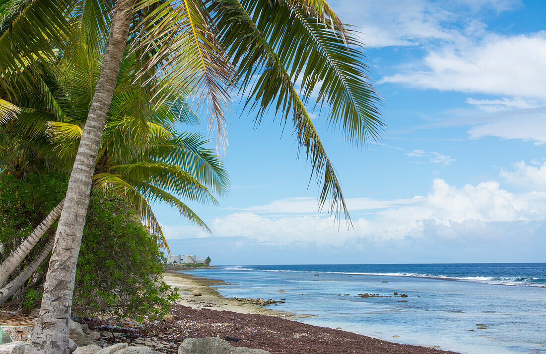 Majuro, Marshallinseln. Strand mit Palmen und romantischer Ozeanszene