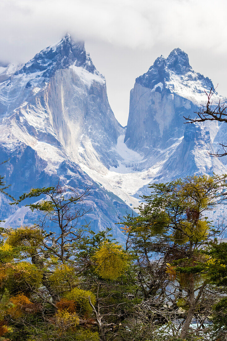 Chile, Patagonia. The Horns mountains